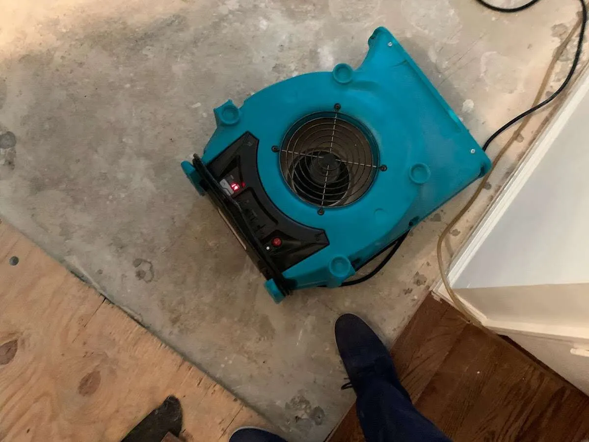 Air mover drying subfloor during Leak Detection & Repair in Kingsport